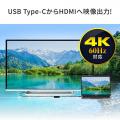 【アウトレット】USB Type-C HDMI変換アダプタ 4K/60Hz HDR対応 PD100W iPad Pro Air Nintendo Switch 有機ELモデル対応 ブラック