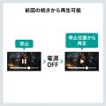ミニDVDプレーヤー CD・DVD再生専用 USB給電 リージョンフリー CPRM対応 USBメモリ microSDカード再生機能つき ブラック