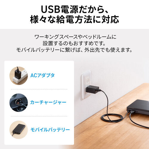ミニDVDプレーヤー CD・DVD再生専用 USB給電 リージョンフリー CPRM